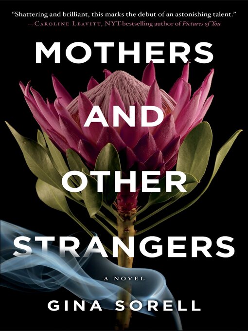 Title details for Mothers and Other Strangers by Gina Sorell - Wait list